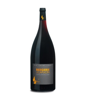 Vin rouge AOP Pic Saint Loup Dame Jeanne magnum 2022