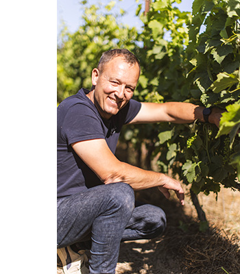 Guilhem Viau, viticulteur à Valflaunès