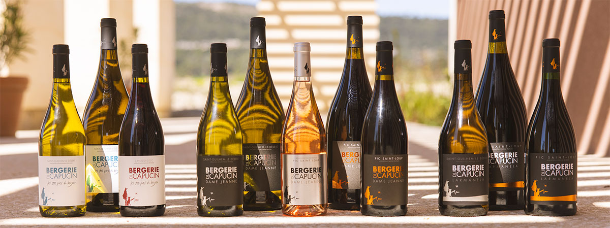 Promotion de Noel Bergerie du Capucin