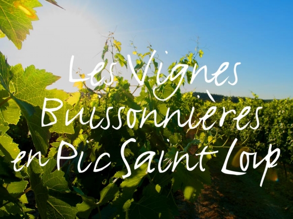 Les Vignes Buissonnières 2018
